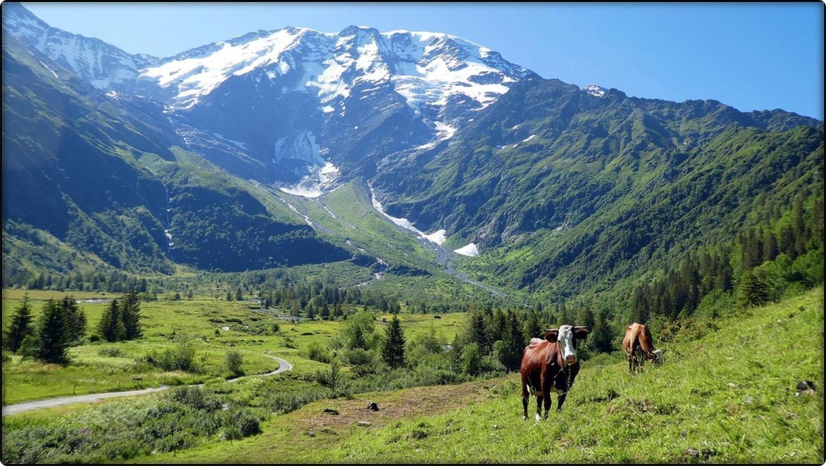 Refuge de Miage beneath the Dômes de Miage