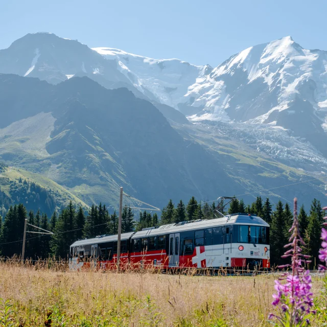 Tramway du Mont-Blanc travelling through alpine meadows