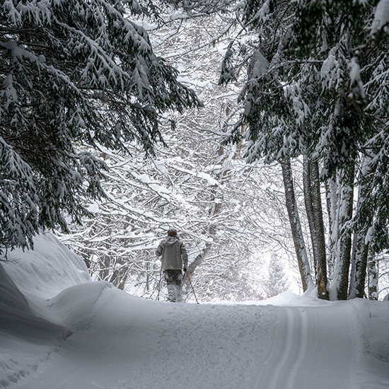 Cross-country skiing