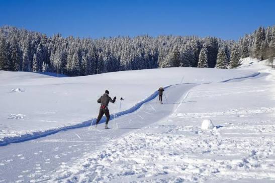 Cross-country ski trail