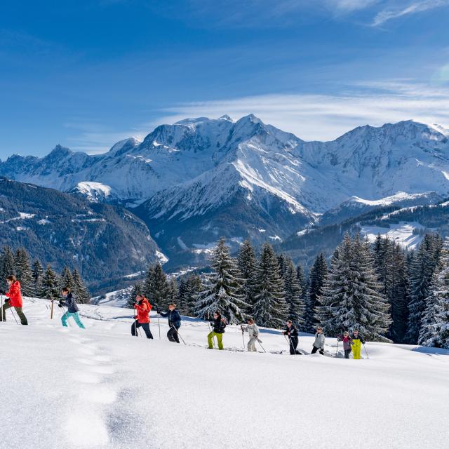 Snowshoeing
